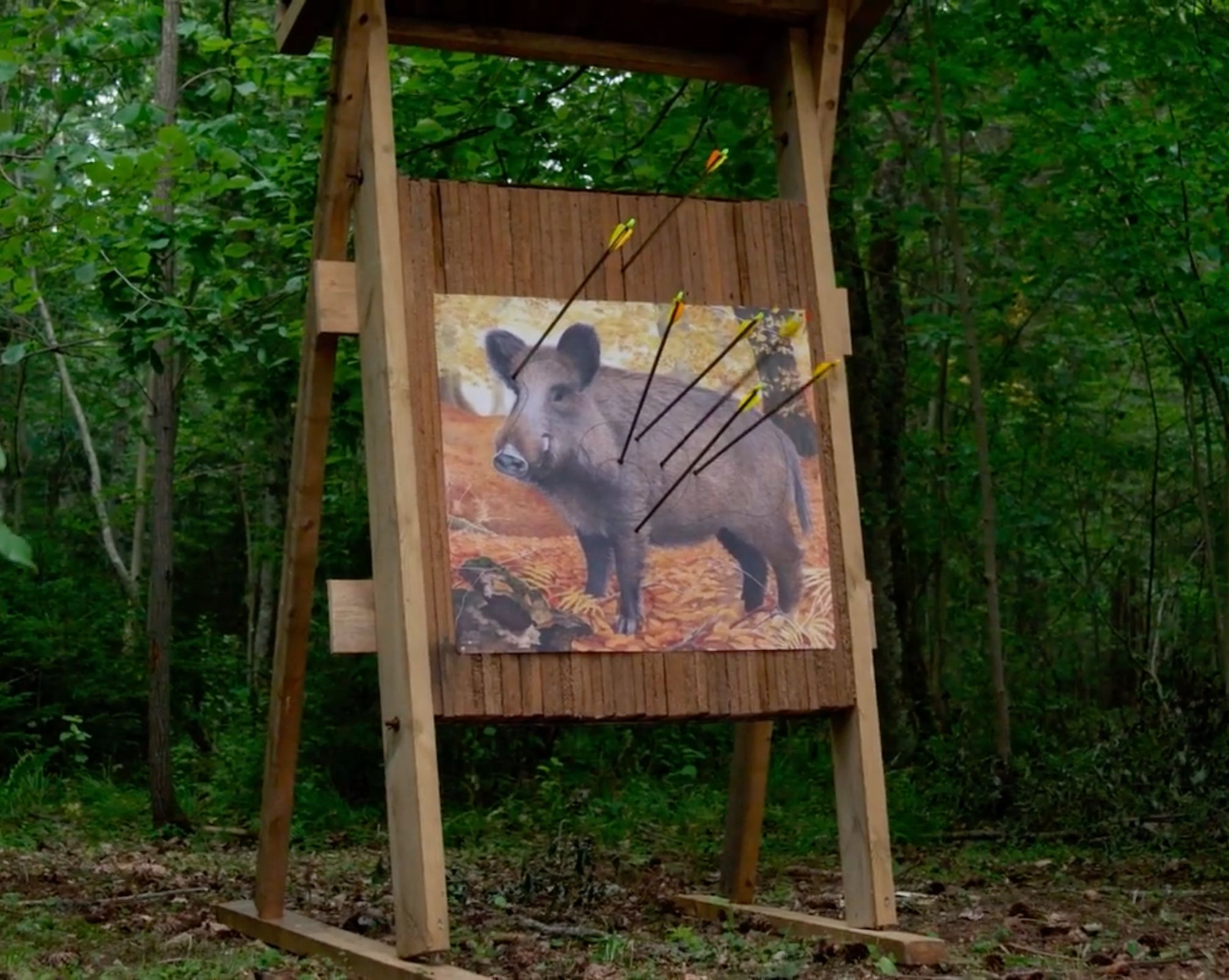 Bow hunting range